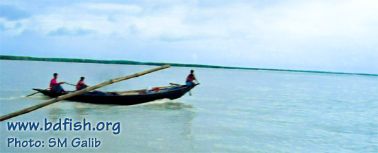 A view of the Padma near Rajshahi