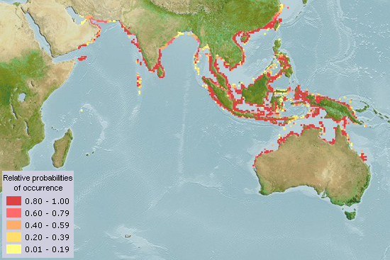 Geographical distribution of Thryssa hamiltonii (Aquamaps, 2013)