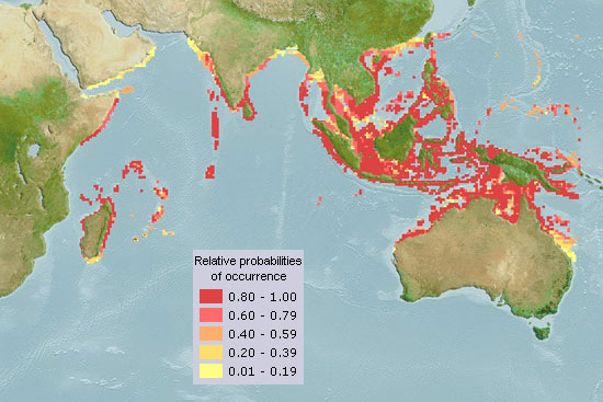 Geographical distribution of Pellona ditchela (Aquamaps, 2013)
