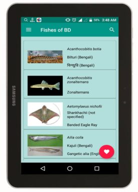 Fishes of BD এর হোমপেজ
